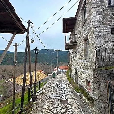 Fantino