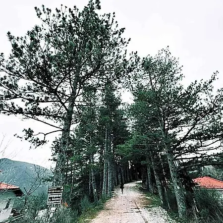 Fantino 2* Kríkellon